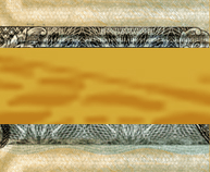 Watermark
