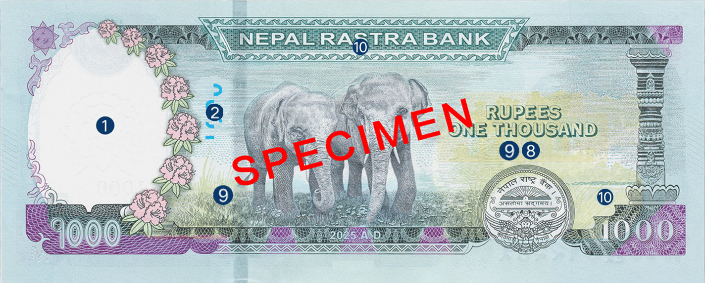 नेपाल राष्ट्र बैंकको २०२५ सिरिजको रु १००० नोटको पछाडिको भाग